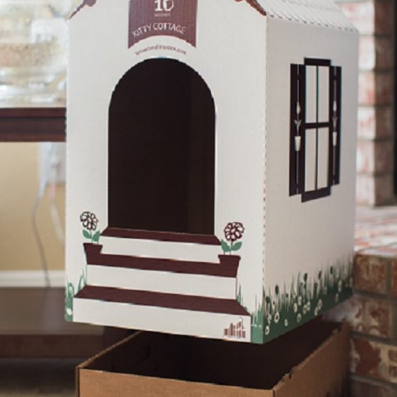 Ten Second Litter Box (10Pack) Disposable Kitty Litter Box